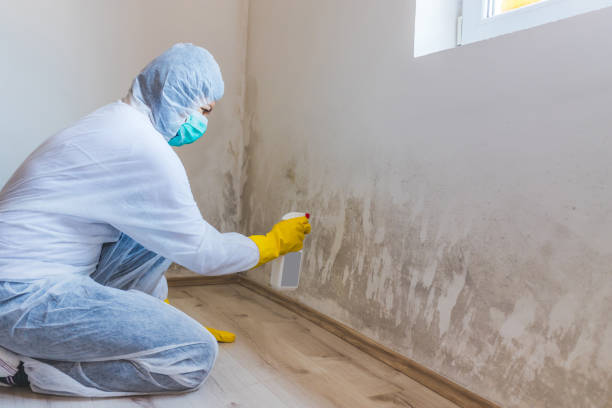 Licensed Crawl Space Mold Removal service in Tenafly, NJ - WQB Mold Removal