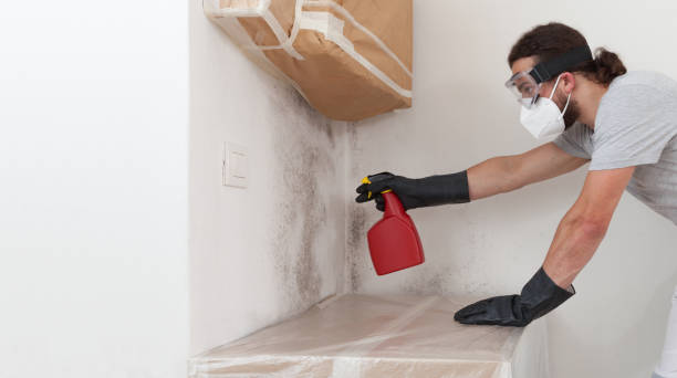 Professional Crawl Space Mold Removal technician working in Tenafly, NJ