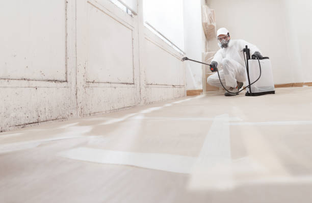 24/7 Emergency Crawl Space Mold Removal experts in Tenafly, NJ