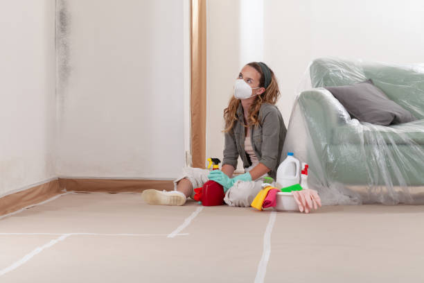 Reliable Crawl Space Mold Removal contractor in Tenafly, NJ by WQB Mold Removal